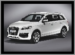 Dachowe, Audi Q7, Relingi