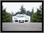 Gumpert Apollo, Przód, Biały