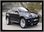 Ksenony, BMW X6, Bi