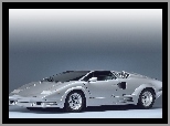 Wloty, Lamborghini Countach, Masywne