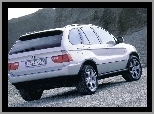 E53, Bmw X5